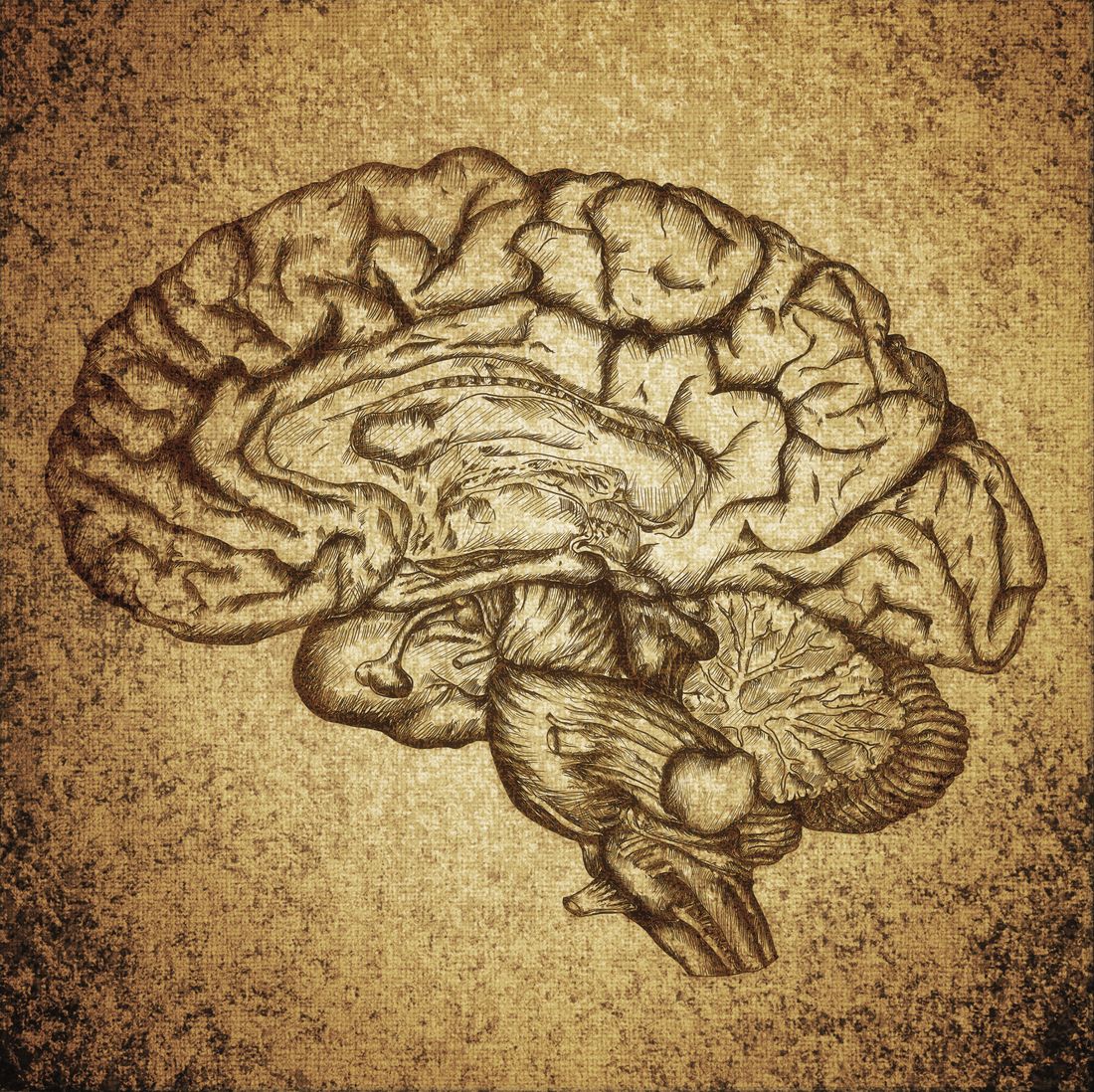 Thérapie cognitive et comportementale